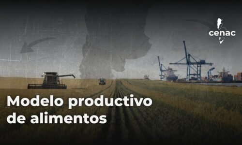 miniatura del curso